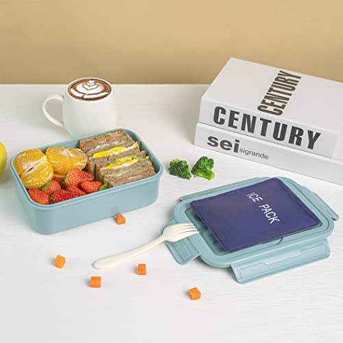 Bento Box Adult Lunch Box
